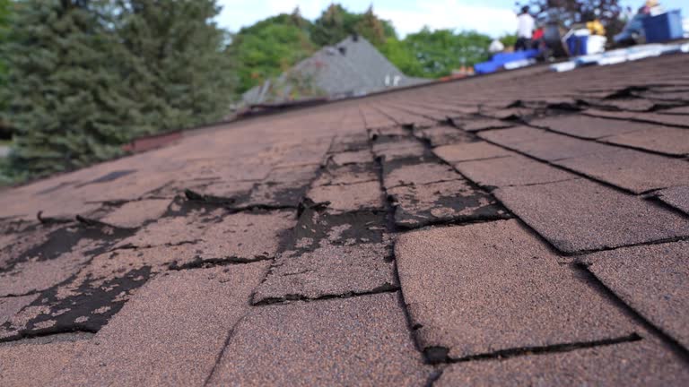 Best Skylight Installation and Repair  in Wfield, IN